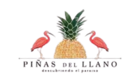 Piñas del Llano