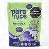 Granola Pistacho 300g Why Not
