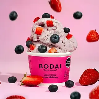 Helado Yogurt Y Frutos Del Bosque 80gr Bodai
